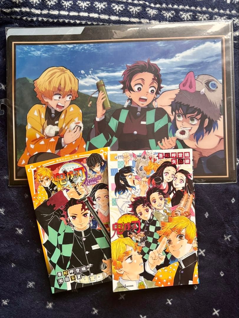 鬼滅の刃 漫画 3巻のみなし。 ノベライズ〜きょうだいの絆と鬼殺隊編しあわせの花