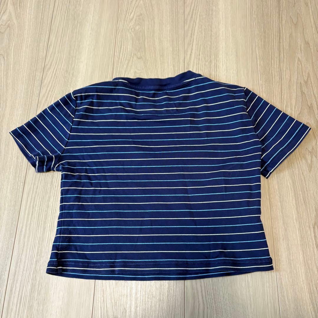 【みっさ】miu miu ミュウミュウ 正規品 クロップドTシャツ