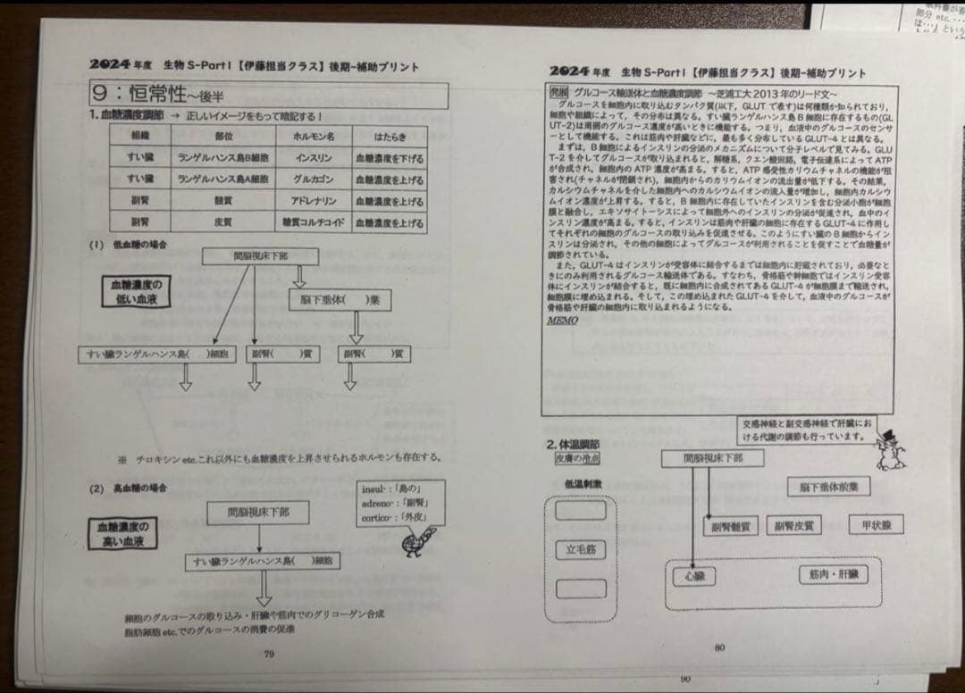 駿台 2024 生物Sテキストpart1 伊藤和修　断裁済み　前期後期