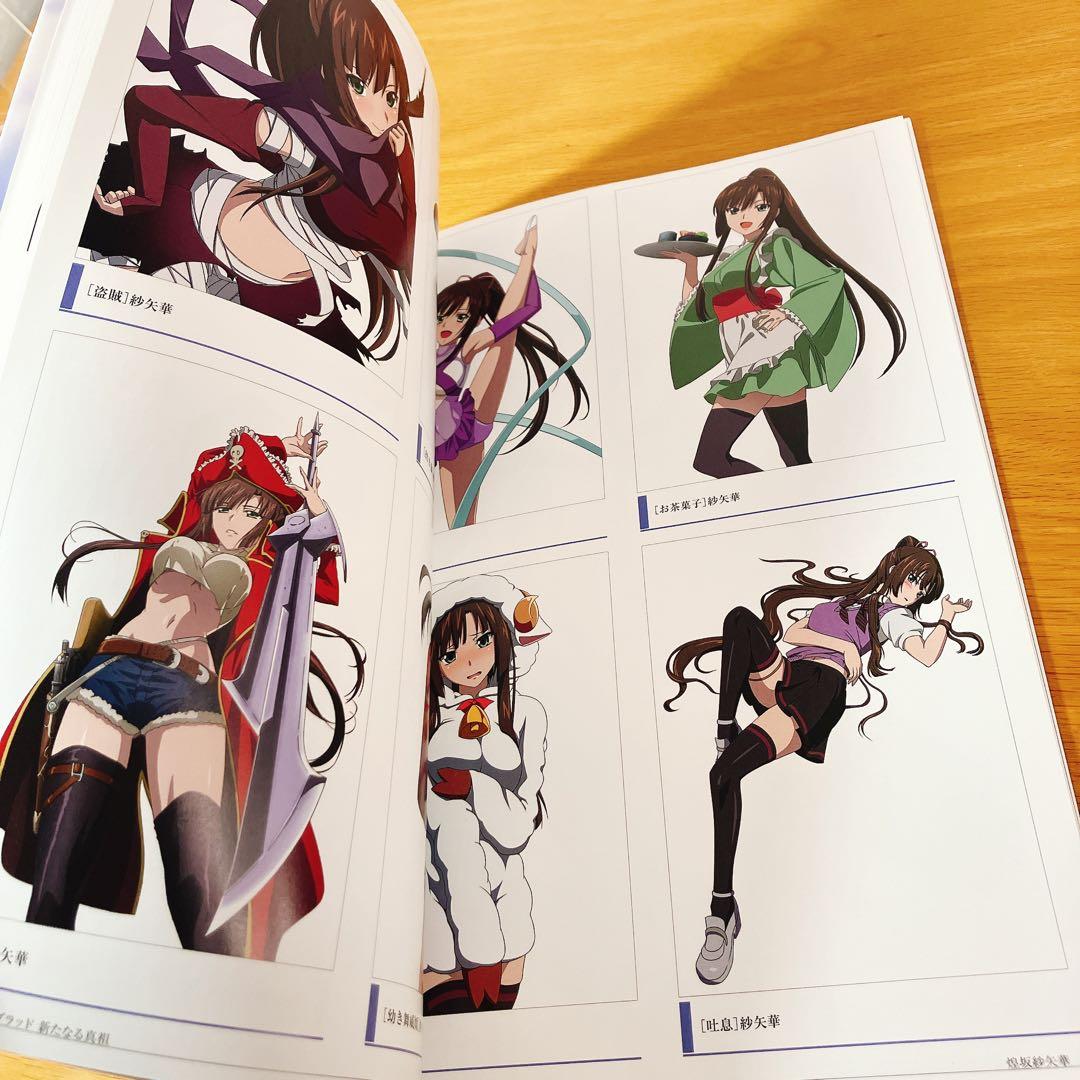 【美品】ストライク・ザ・ブラッド 新たなる真祖 ビジュアルブック 特典付き