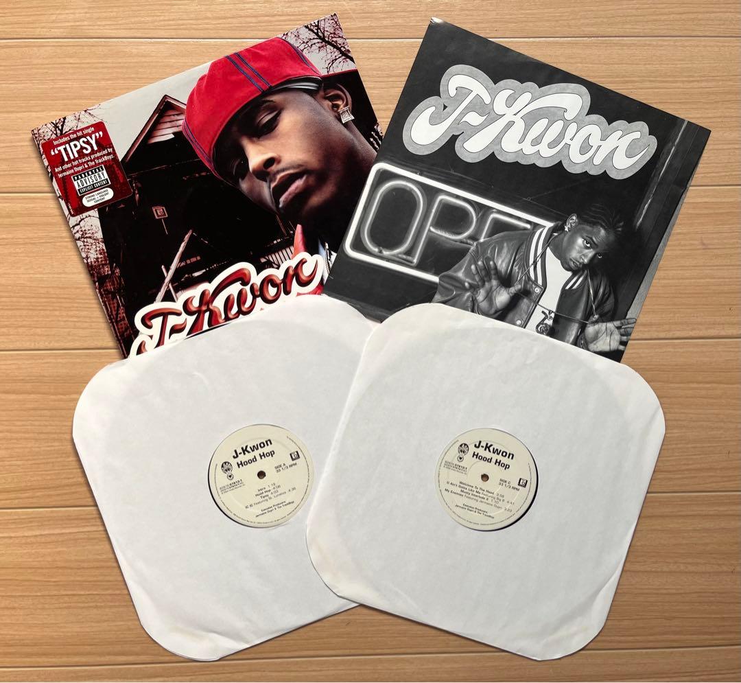 HIPHOP & R&B レコード20枚セット (2LP×4あり)