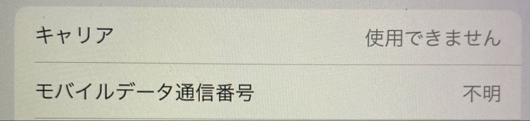 iPad 第5世代　ゴールド　Wi-Fi+セルラー　SIMフリー　32GB