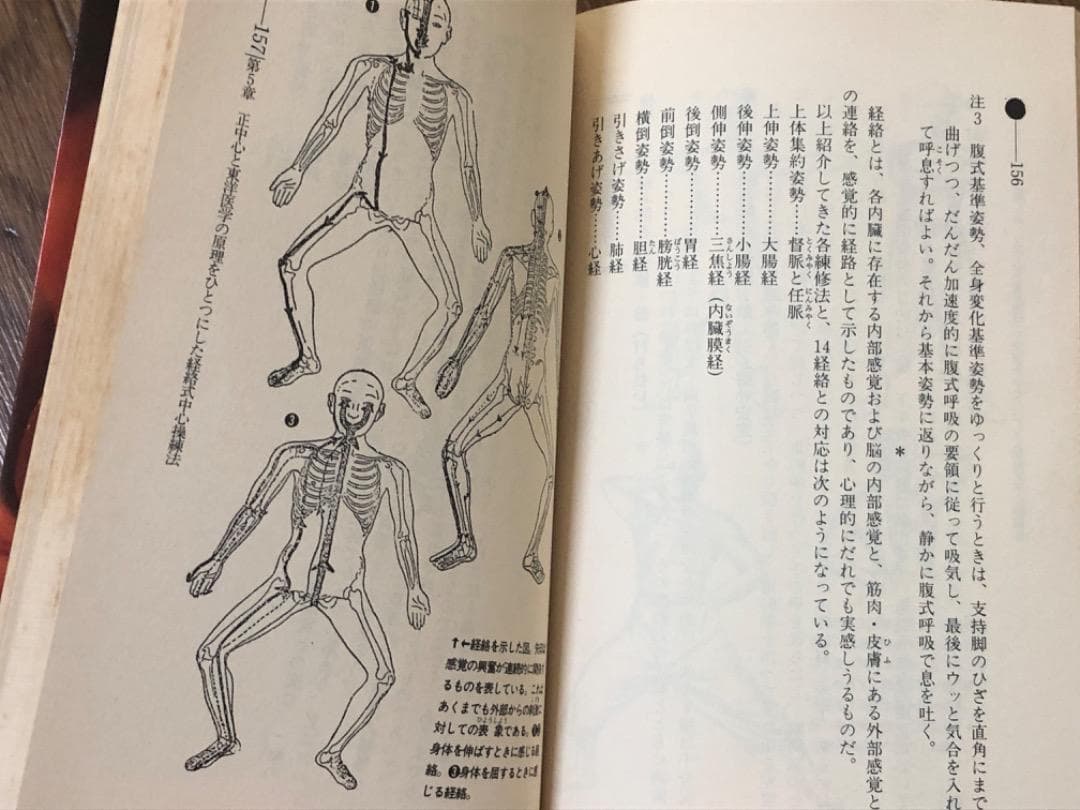 中心力を究める! 肥田式強健術2 【匿名配送】