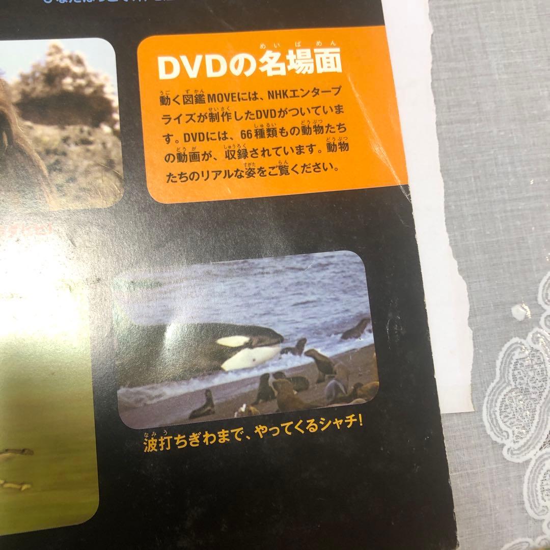 講談社の動く図鑑ＭＯＶＥ　WONDER MOVE　まとめ　19冊　全てDVD付き