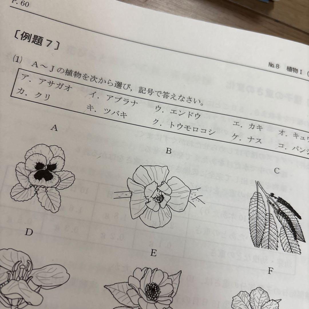 浜学園　最高レベル特訓　理科　2025年度版　1年分