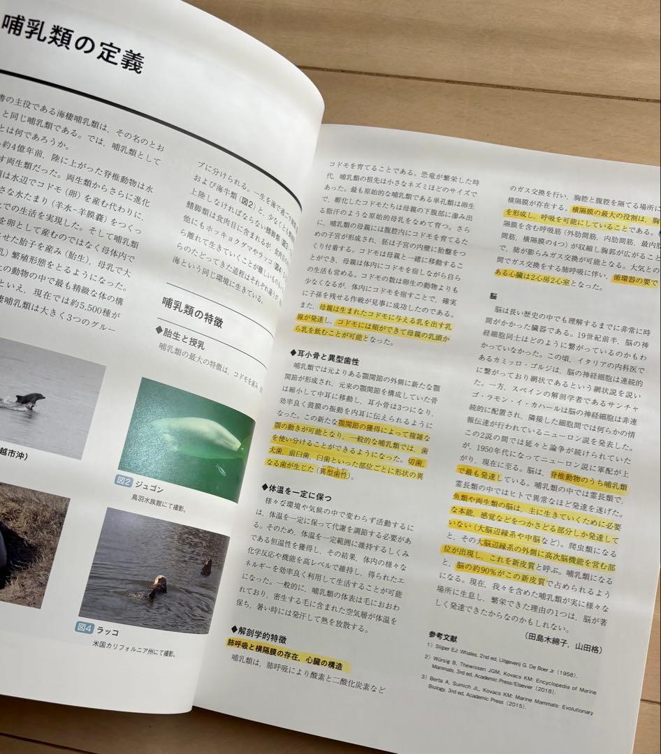 海棲哺乳類大全