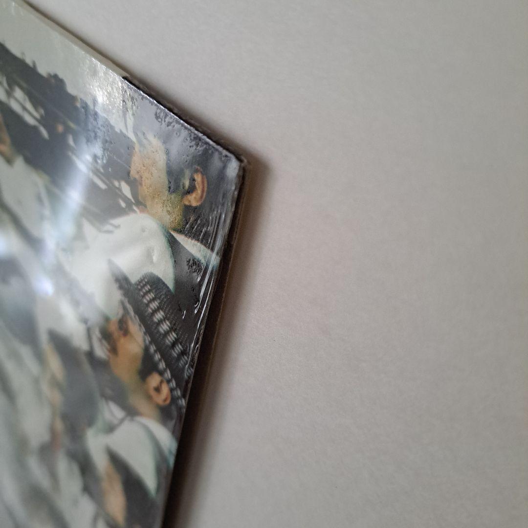 【超美品LPおまけ付】東京スカパラダイスオーケストラ　ファーストプレスレコード