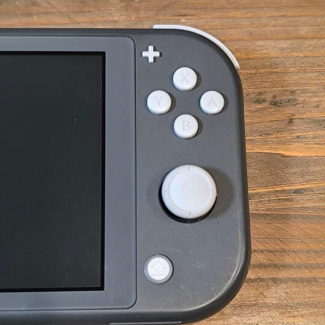 Nintendo Switch Light グレー