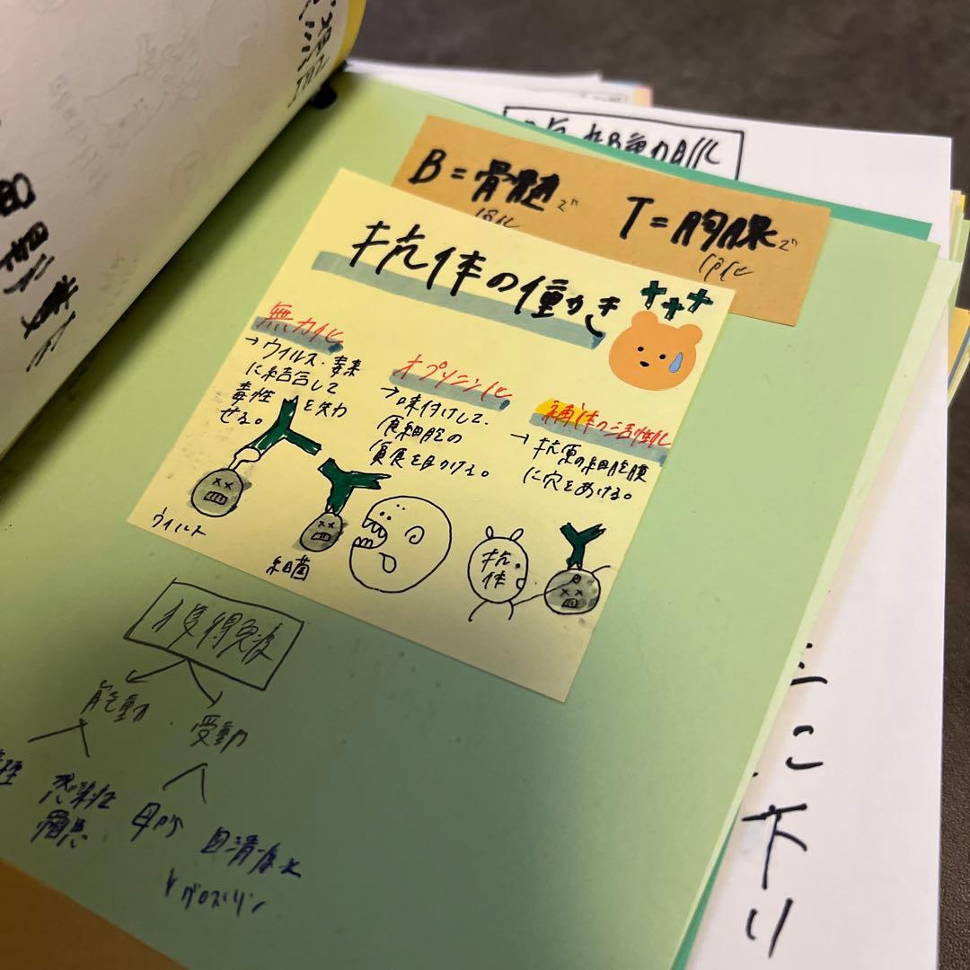 原本　一名様限定　看護師国家試験　まとめノート