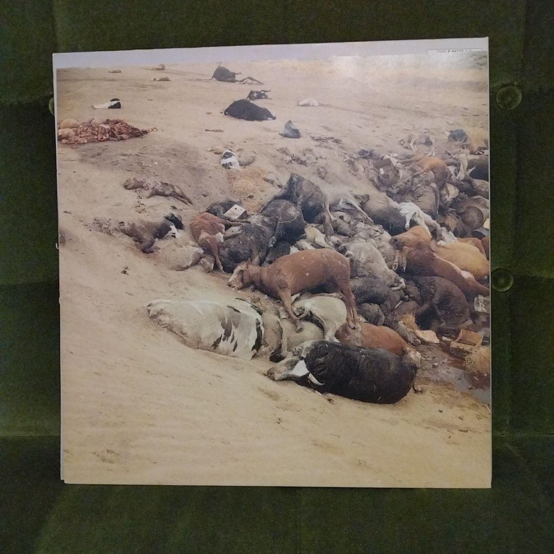 Ben Harper / The Will To Live ”LP