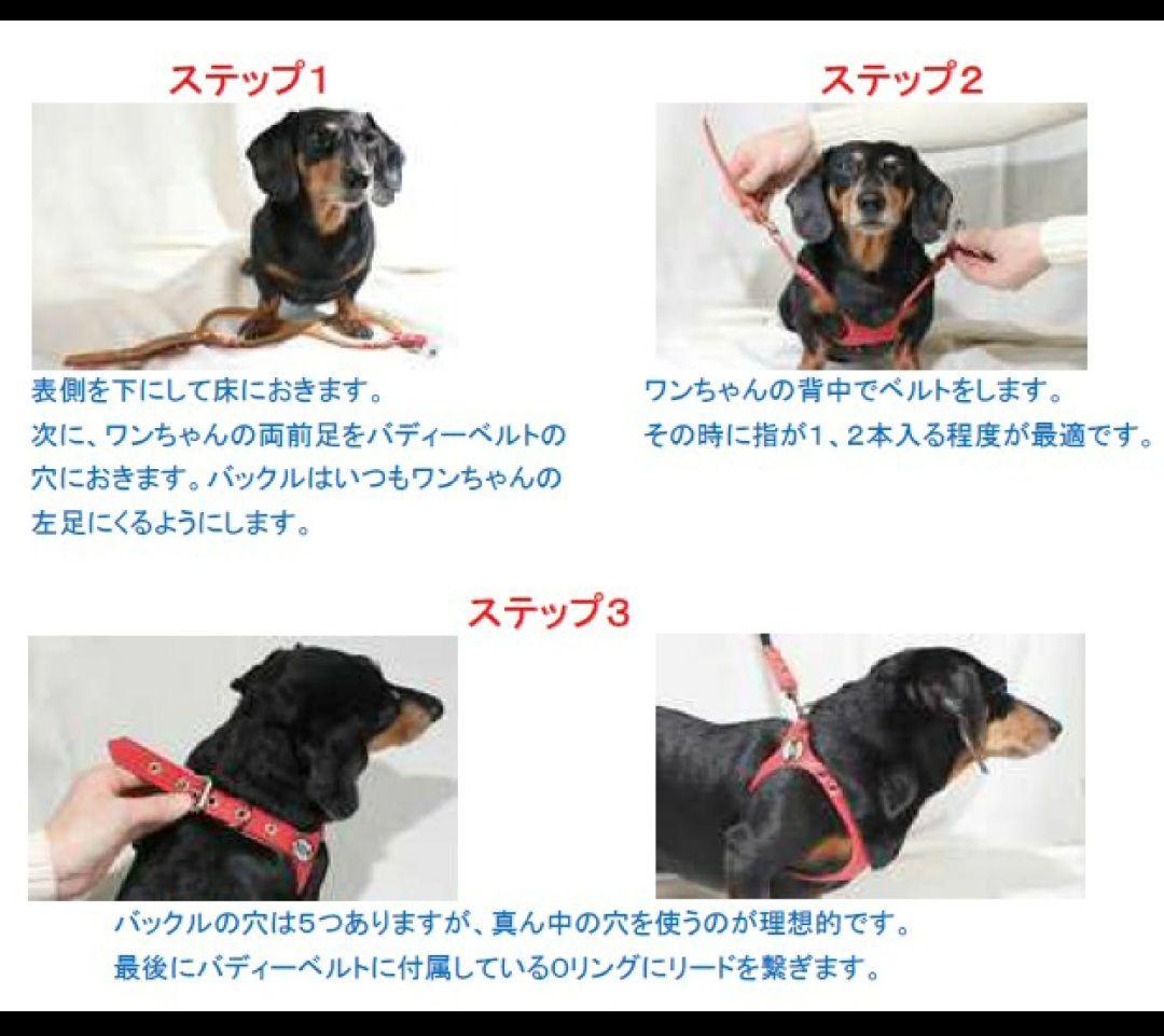 最終お値下げ　Buddy Belt 小型犬用ハーネス シルバー(新品)