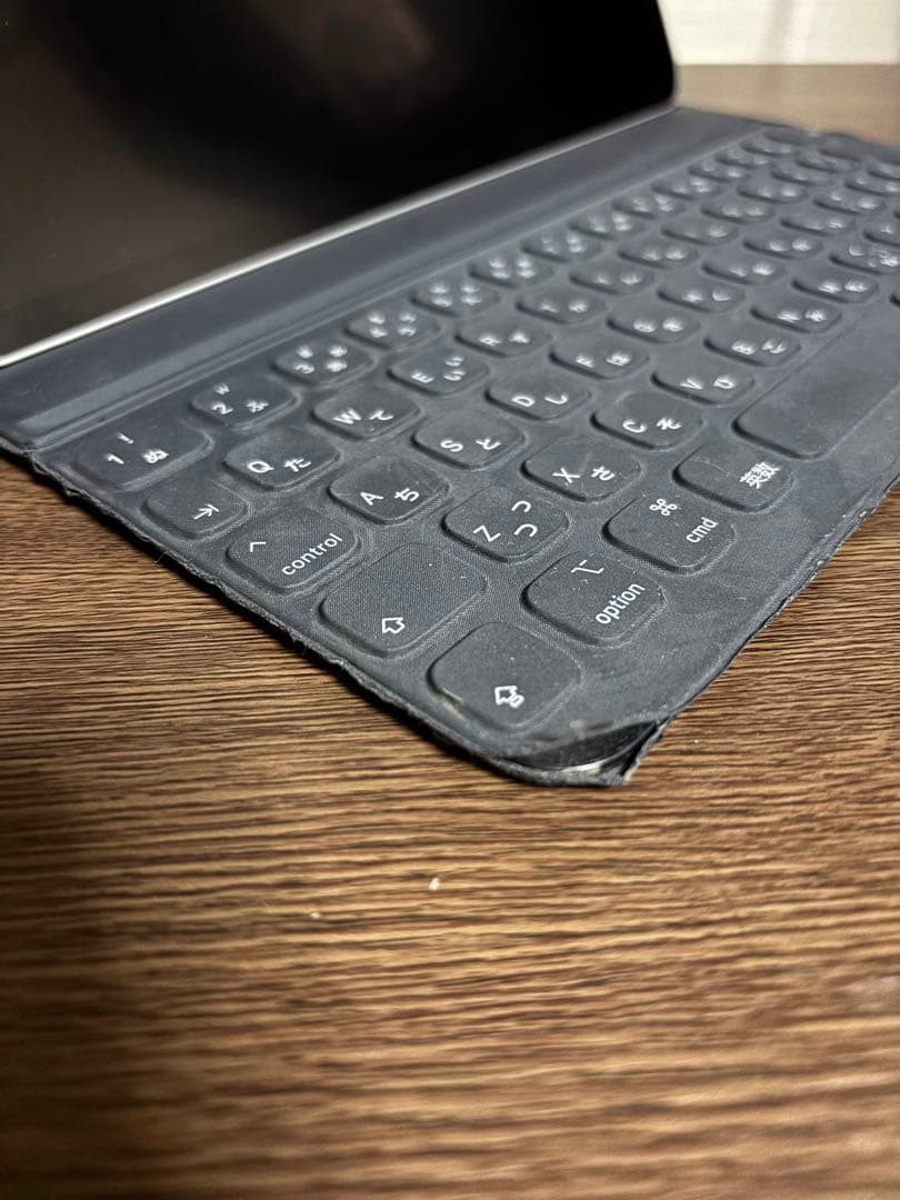 iPad Pro 11インチ 第一世代 256GB Wi-Fiモデル +他