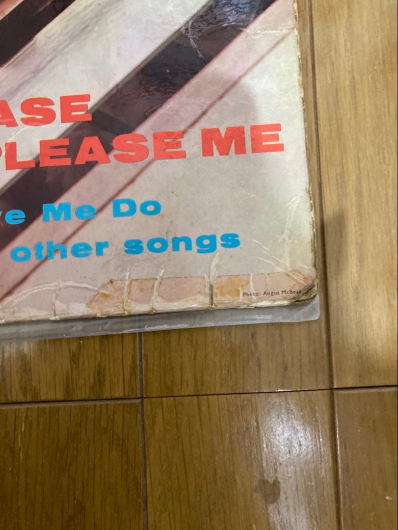UKオリGoldビートルズPleasePleaseMeレコードBeatles