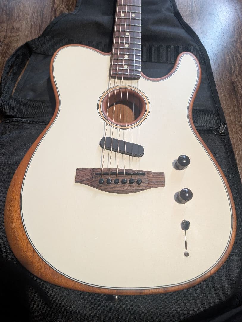 三*犬様 Fender Acoustasonic Player Telecast