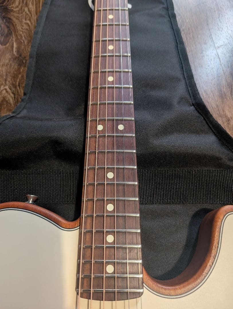 三*犬様 Fender Acoustasonic Player Telecast