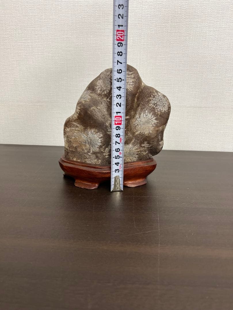 飛騨・菊紋石・菊花石　花梨台付き
