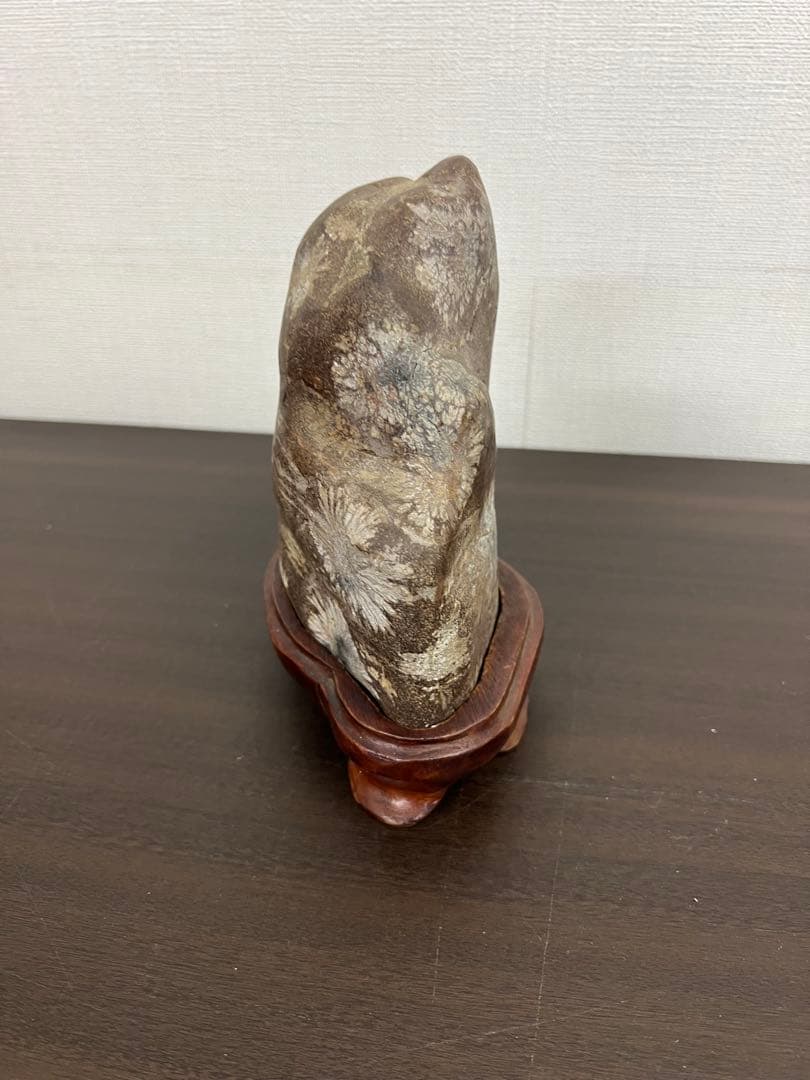 飛騨・菊紋石・菊花石　花梨台付き