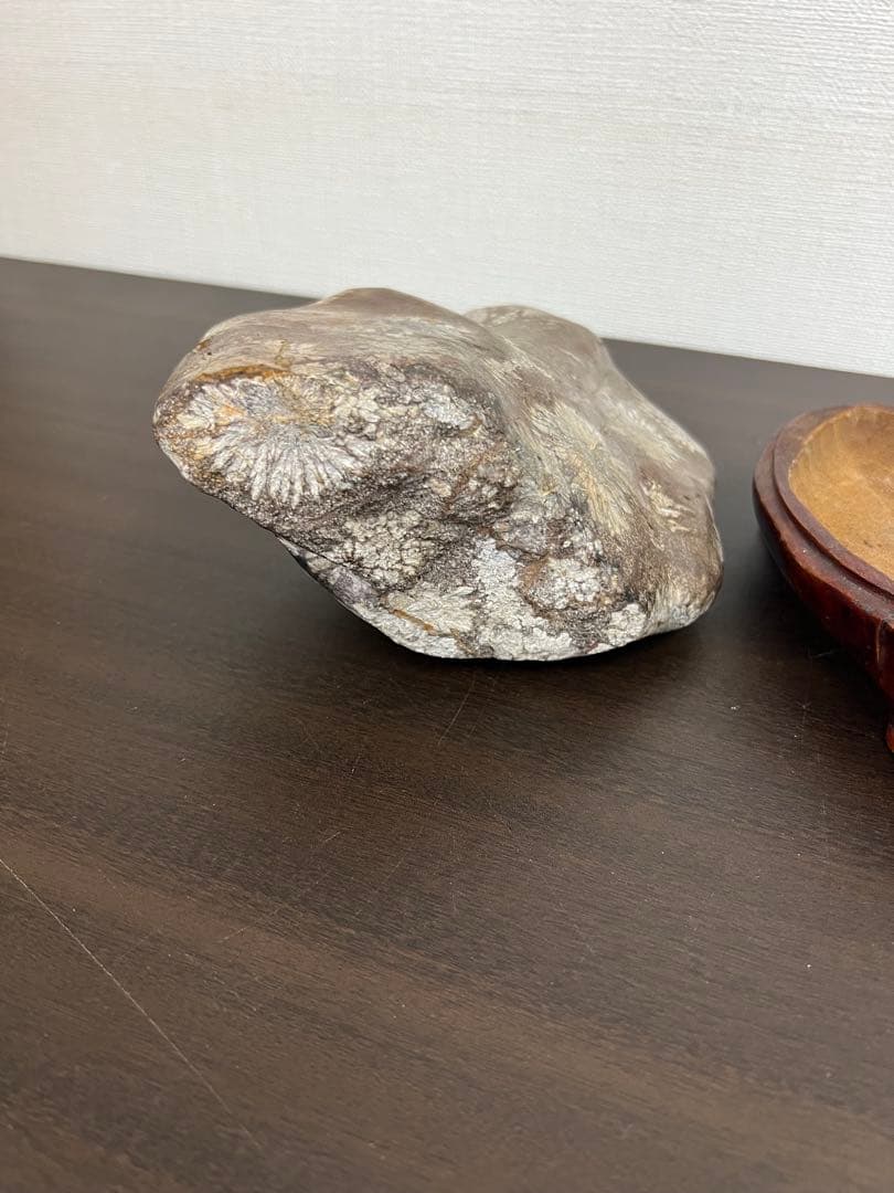 飛騨・菊紋石・菊花石　花梨台付き
