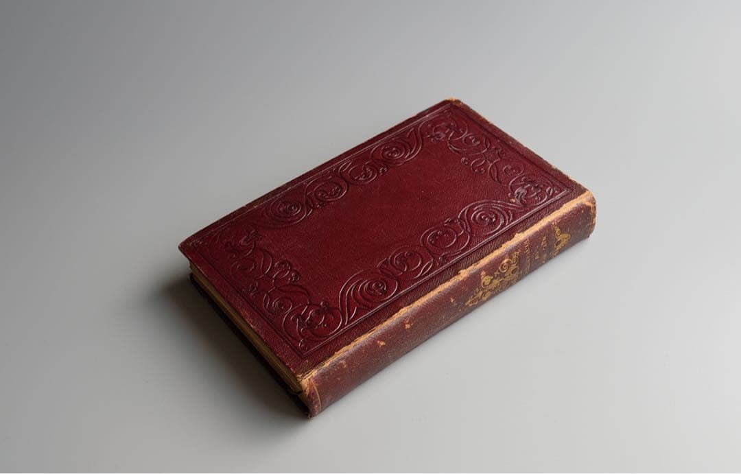 19世紀にイギリス 出版 鳥に関する自然史の書籍 アンティーク古書