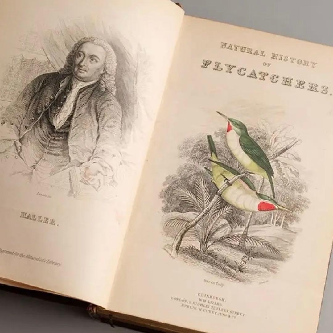 19世紀にイギリス 出版 鳥に関する自然史の書籍 アンティーク古書