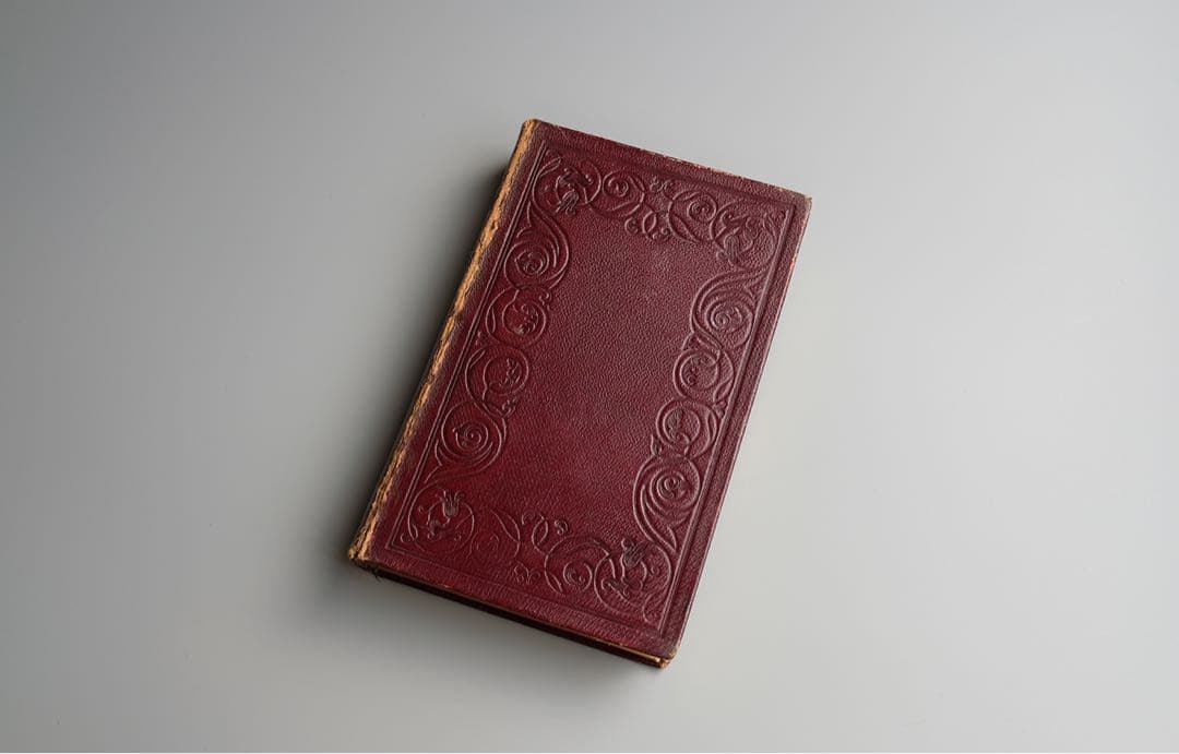 19世紀にイギリス 出版 鳥に関する自然史の書籍 アンティーク古書