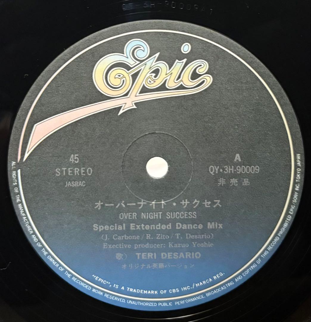 テリー・デサリオ/ハーマンズ・クイーン /オーバーナイト・サクセス/ 非売品