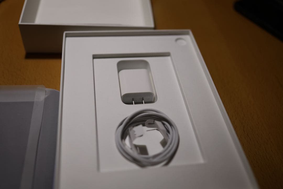 美品 iPad 第10世代 256GB WiFi+Cellular SIMフリー