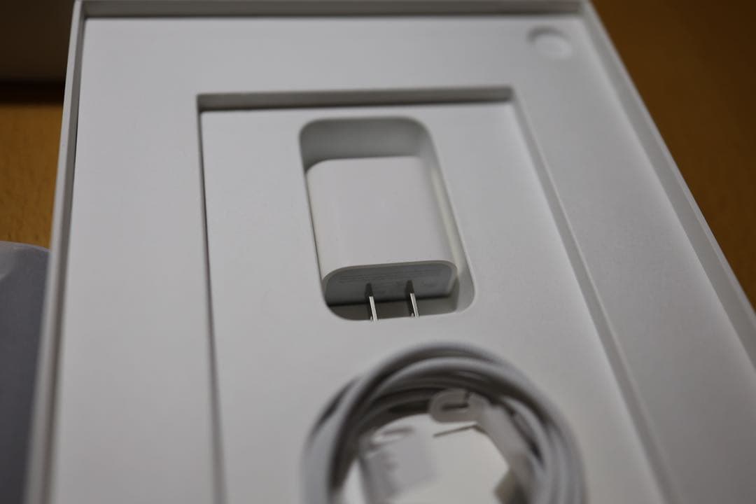 美品 iPad 第10世代 256GB WiFi+Cellular SIMフリー