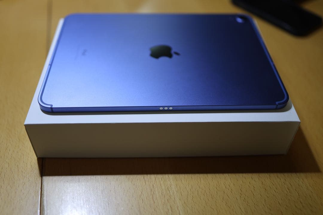美品 iPad 第10世代 256GB WiFi+Cellular SIMフリー