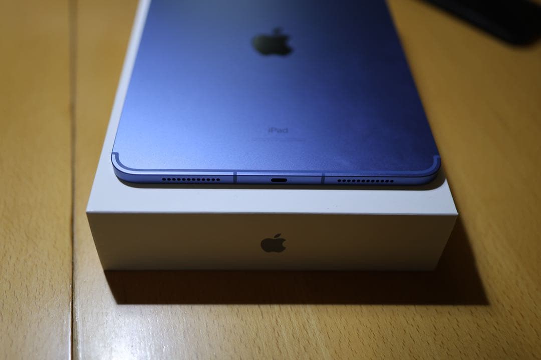 美品 iPad 第10世代 256GB WiFi+Cellular SIMフリー