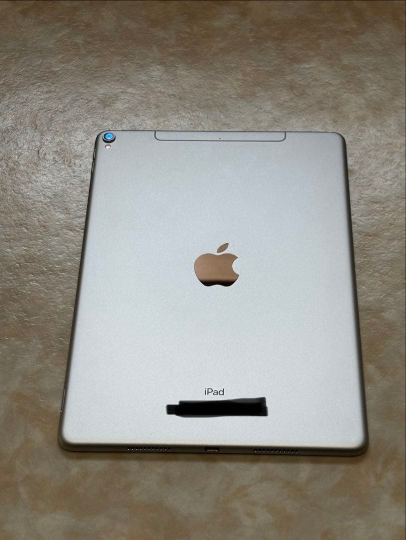 Apple iPad Pro 10.5インチ　SIMなし　3月22日まで