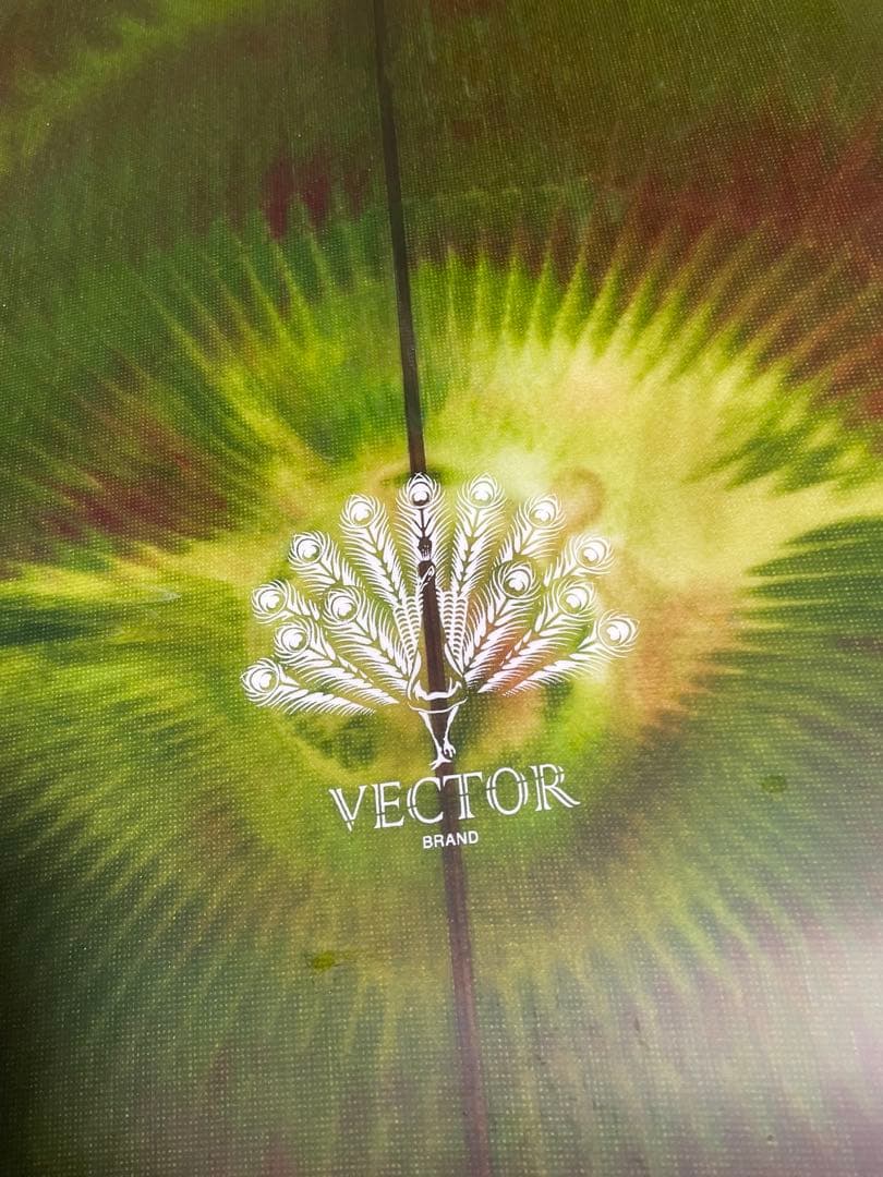 VECTOR ベクトル　フィッシュ　ミッドレングス　サーフボード 九州直接渡し