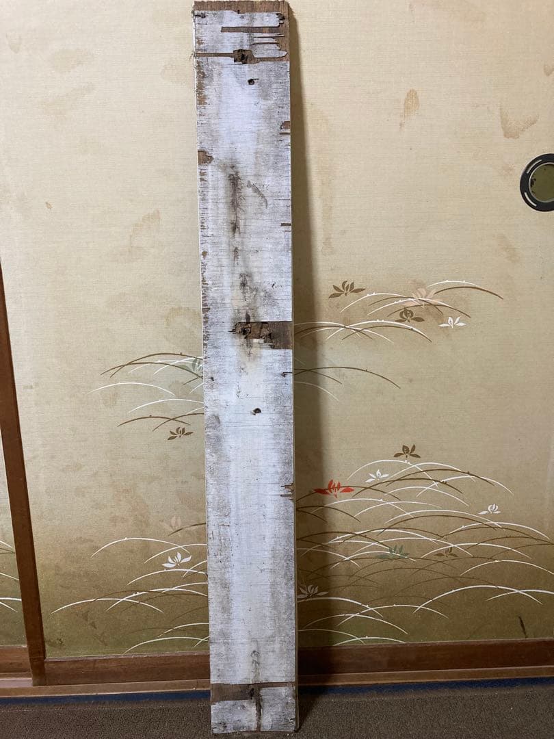伊豆急行線　稲梓駅　いなずさ 看板 SBS 静岡放送