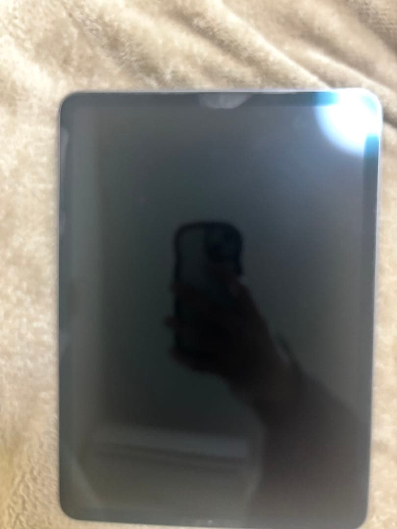 【値下げ可】iPad Pro 11インチ 第1世代 美品