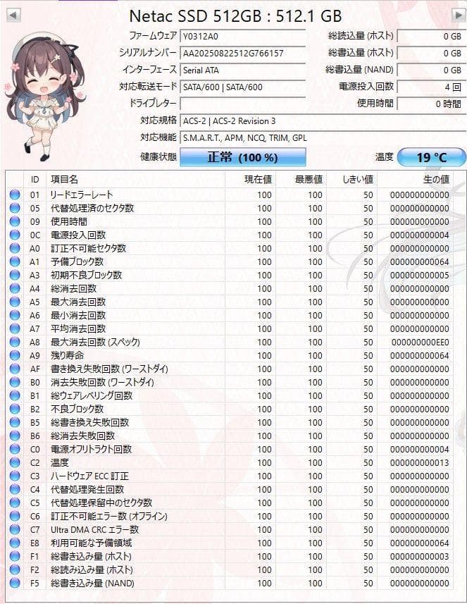 内蔵型SSD Netac SSD 512GB SATA3 N530s