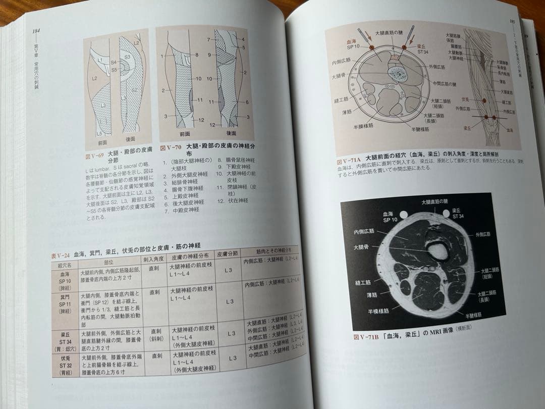 図解　鍼灸臨床 手技マニュアル 第2版