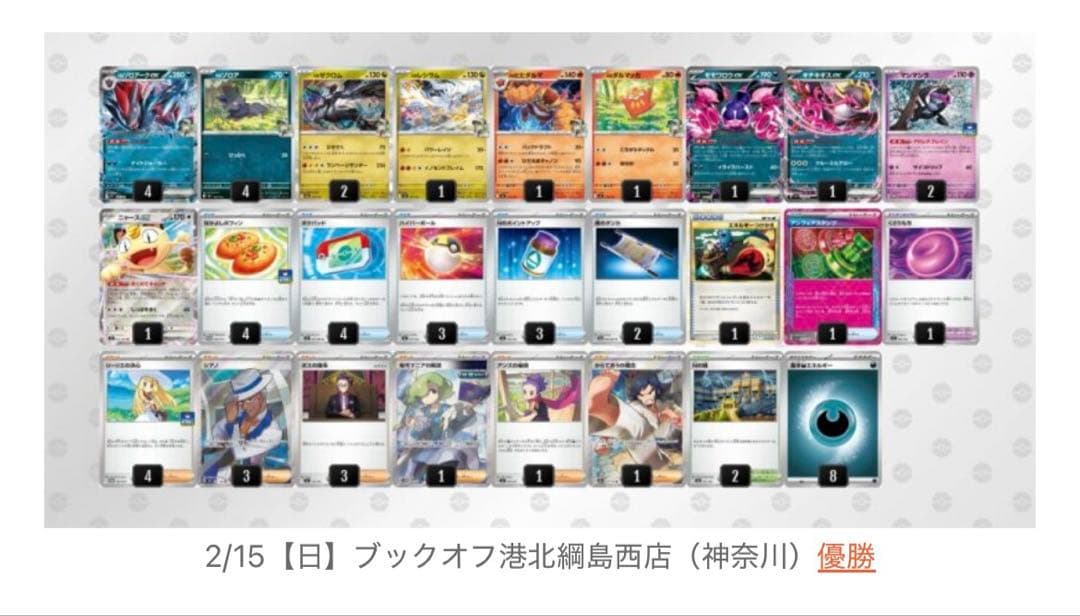 【匿名配送】2/15シティリーグ優勝！Nのゾロアークex構築済みデッキ