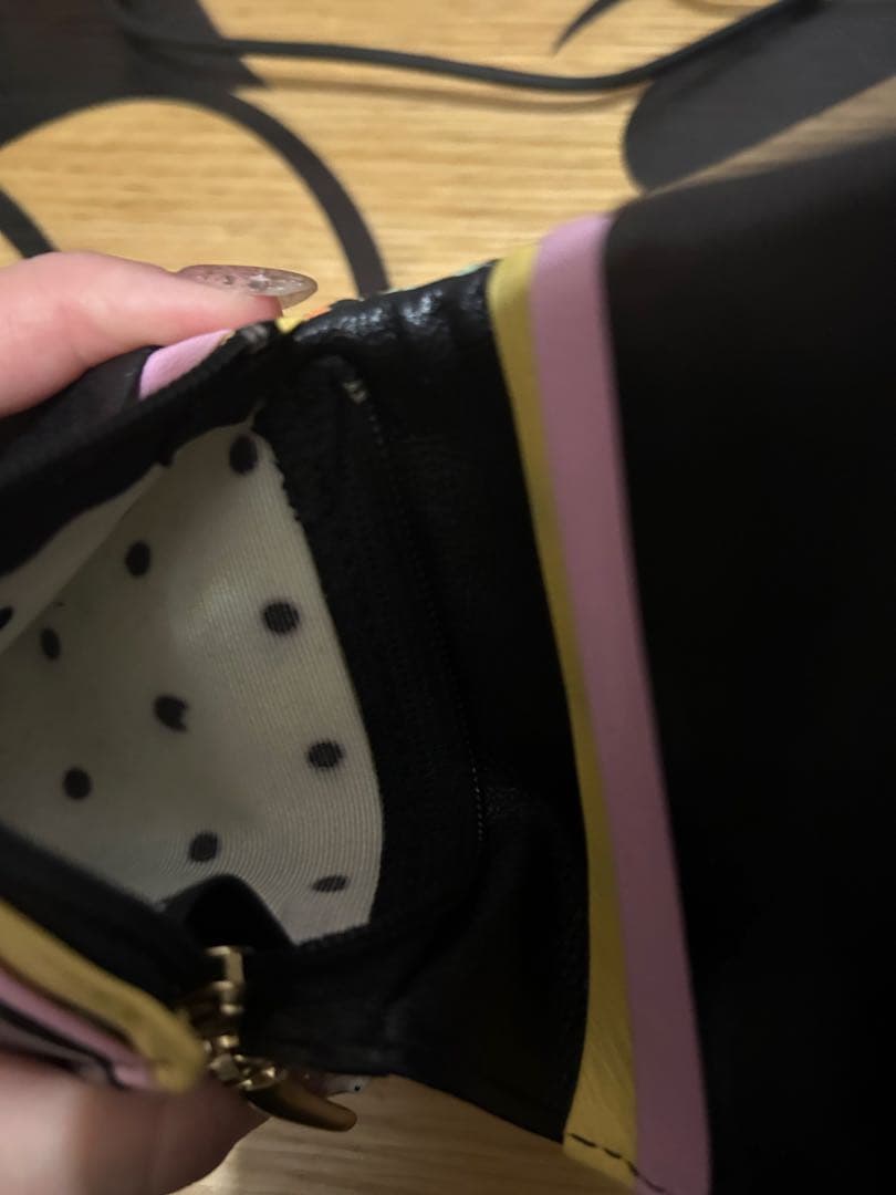 tsumori chisato CARRY⭐︎ズームドット⭐︎財布