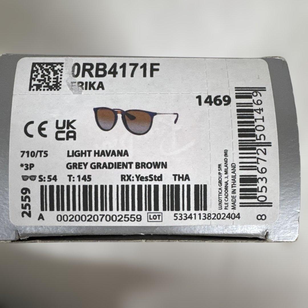 レイバン サングラス ローブリッジフィットRAYBAN ERIKA エリカ