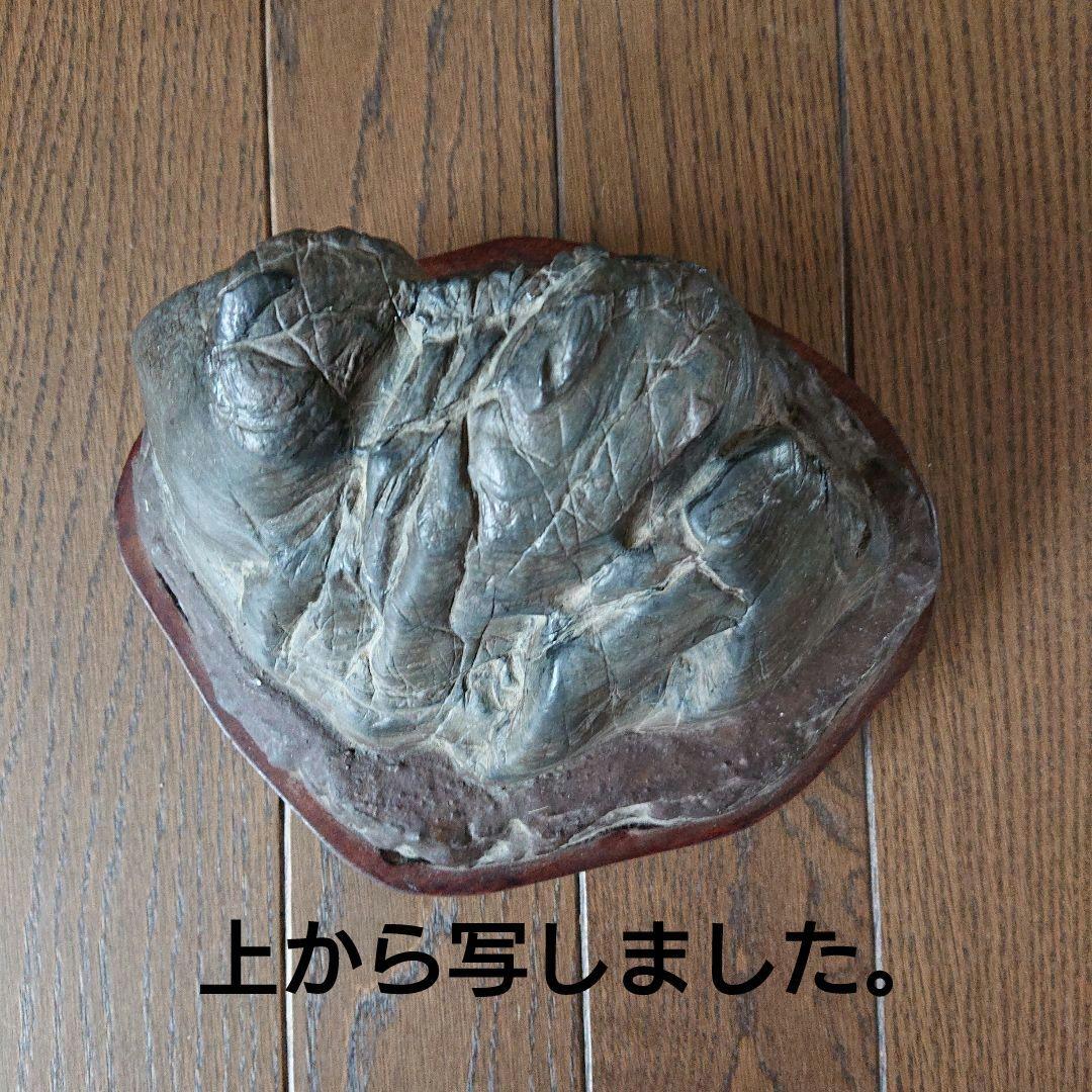 天然石 2.5㎏ 水石 紋様石 鑑賞石 プロ台座付き