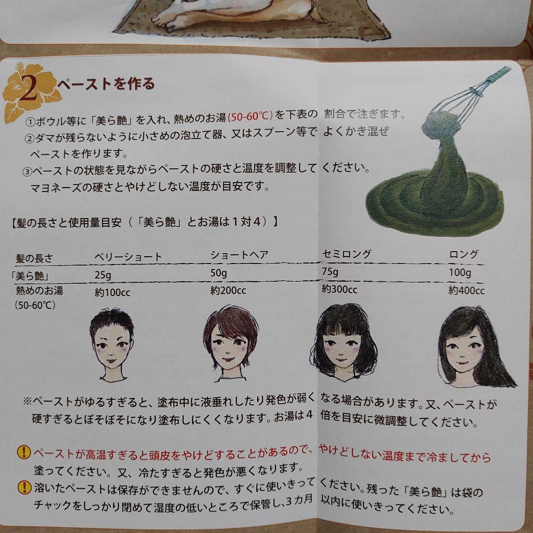 琉球ヘナカラー 美ら艶 100g×2箱　カタログハウス　通販生活