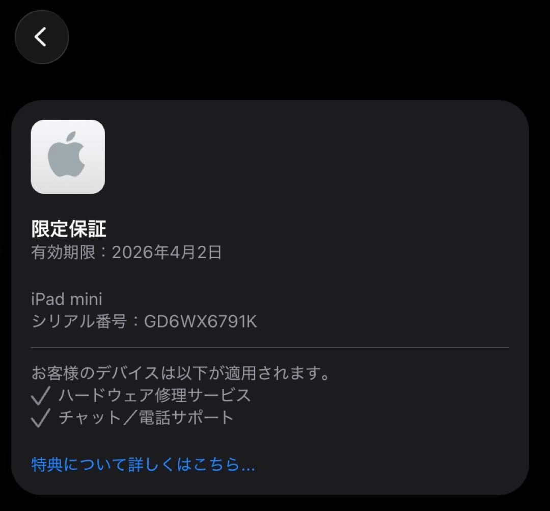 iPad本体 iPad mini A17 Pro Wi-Fi Cellular 256GB