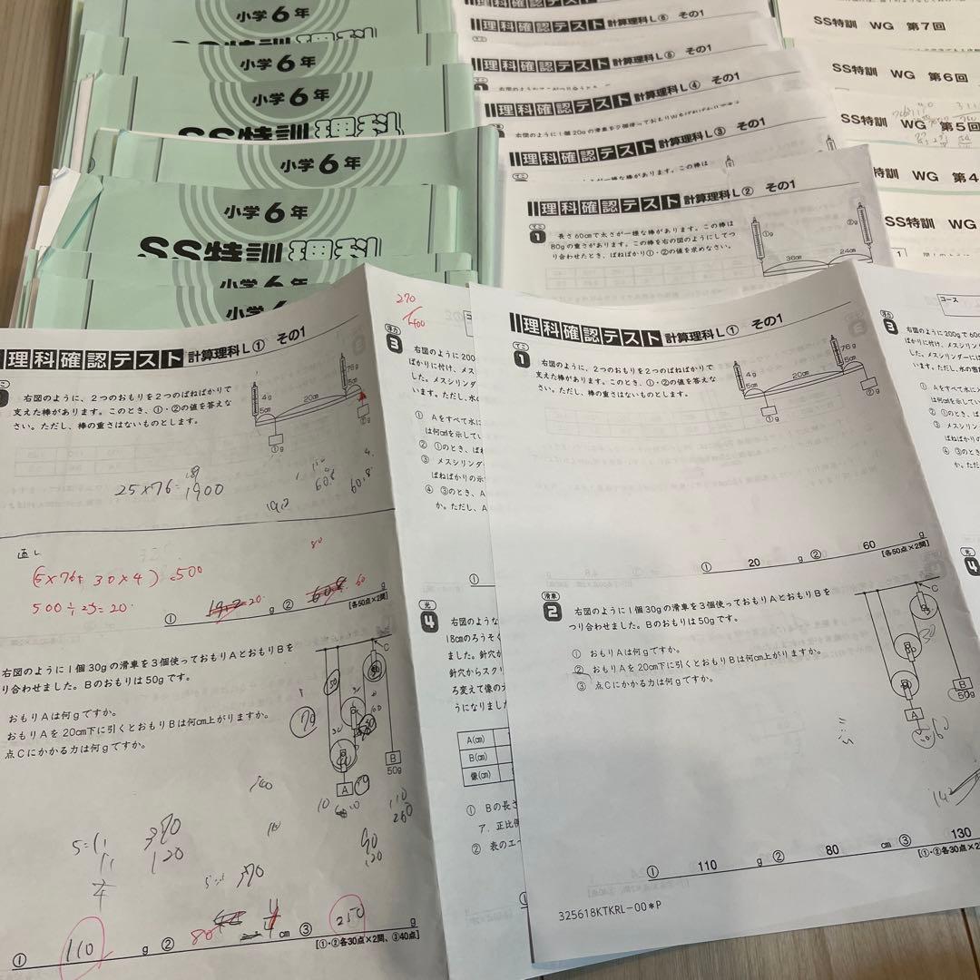 SAPIX サピックス 理科 サンデーサピックス SS特訓 フルセット テスト