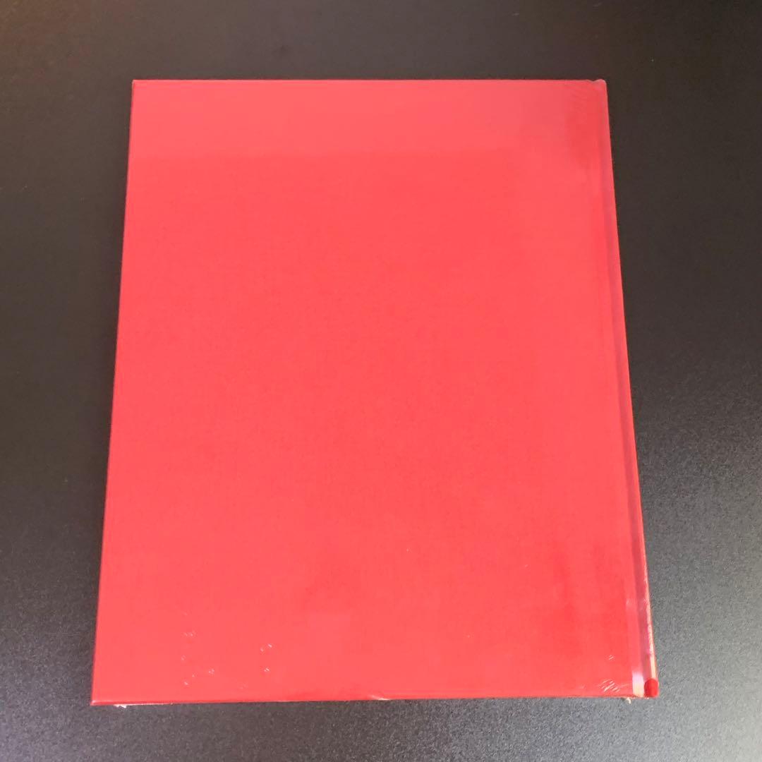 【新品】レンハン REN HANG 写真集 我母親 レア