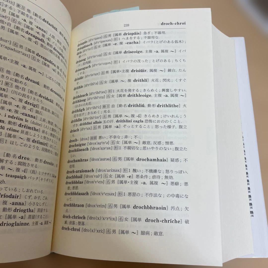 【格安】アイルランド・ゲール語辞典