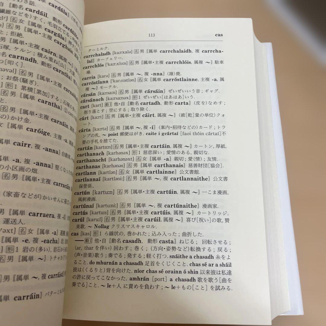 【格安】アイルランド・ゲール語辞典