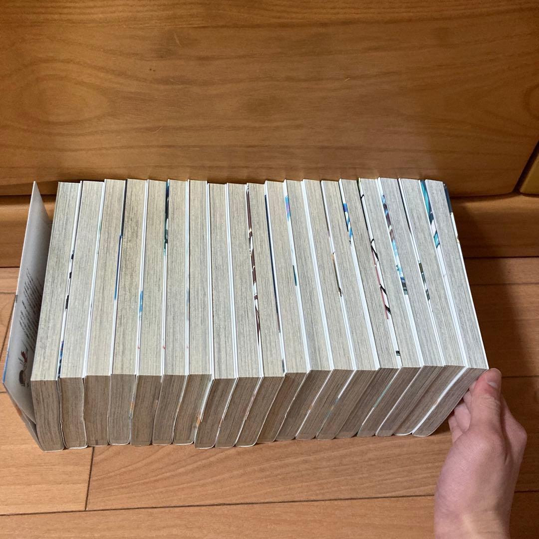 ラディアン 1〜19 全巻