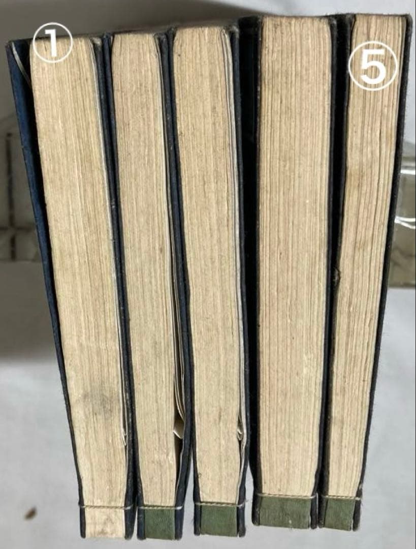 150年前・折込銅版図入・医学書【華氏病理摘要】5冊揃い完本