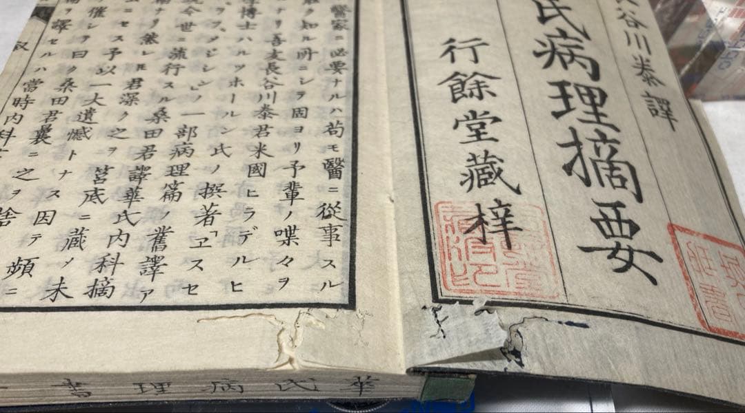 150年前・折込銅版図入・医学書【華氏病理摘要】5冊揃い完本