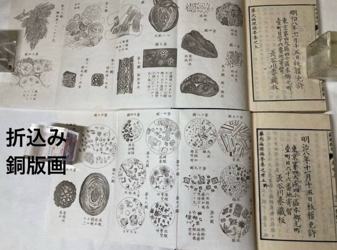 150年前・折込銅版図入・医学書【華氏病理摘要】5冊揃い完本